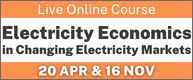 Electricity Economics in Changing Electricity Markets