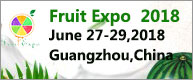 Fruit Expo2018