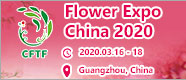 Flower Expo China 2020